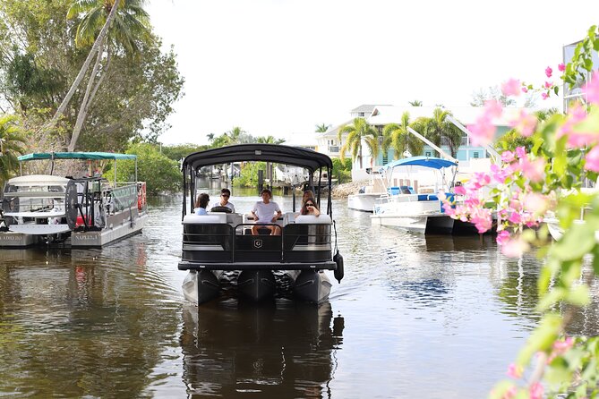 NAPLES TO KEEWAYDIN: your luxury water shuttle with all amenities - Wildlife spotting: dolphins, shells, and the little moments