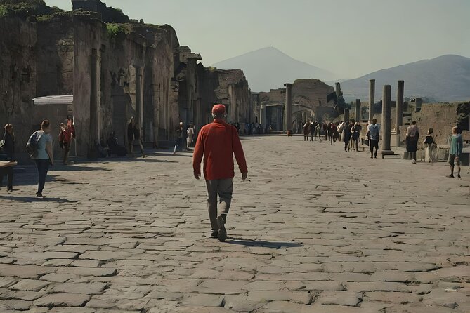 Naples to Pompeii direct transfer (or viceversa) - Price and value: what $69.38 really covers