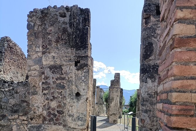 Naples transfer to Pompeii guided tour and Back - Entrance Fees and Real Value: What You Pay vs. What You Still Need