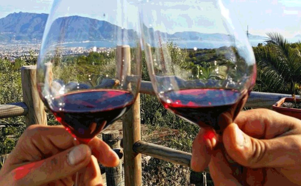 Naples: Vesuvius Half-Day Trip with Lunch and Wine Tasting - Crater time: buying tickets with help and taking a guided walk up
