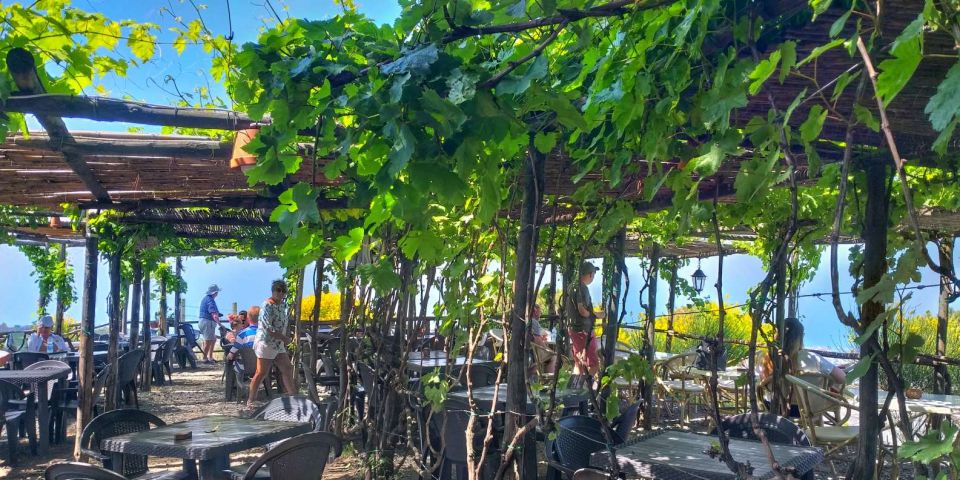 Naples: Vesuvius Half-Day Trip with Lunch and Wine Tasting - What you really get with a guided half-day (and what you don’t)