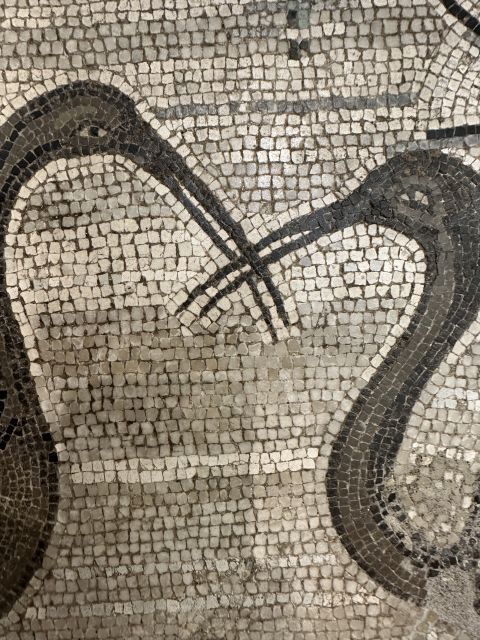 National Archaeological Museum of Naples Private Guided Tour - Inside Naples MANN: why a private guide changes everything