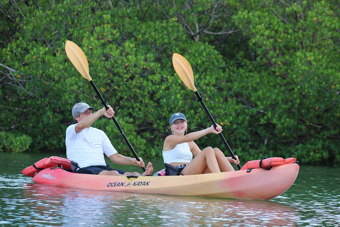 Nauti Exposures - Guided kayak tour through the Mangroves - Key Highlights You’ll Feel Immediately