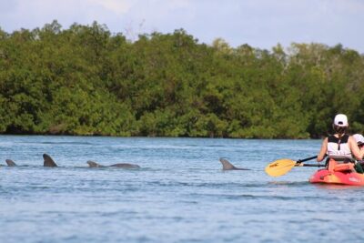 Nauti Exposures - Guided kayak tour through the Mangroves - Small-Group Paddling With EJ, Trey, and RJ