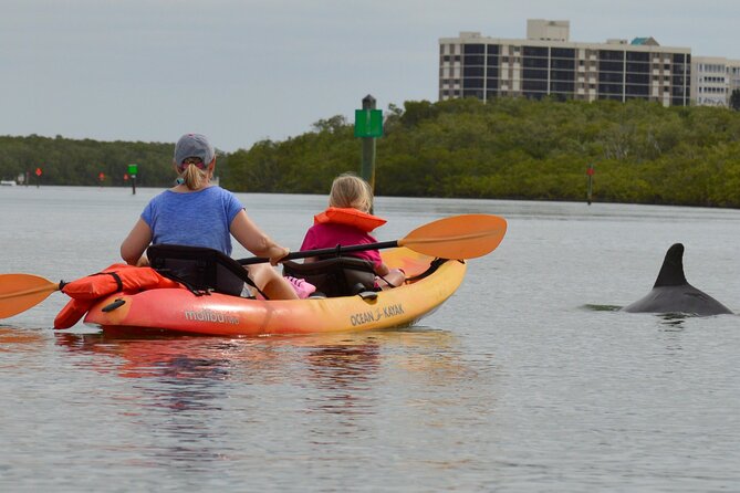 Nauti Exposures - Guided kayak tour through the Mangroves - Barefoot Beach Stop: Stretch, Shells, and a Quick Reset
