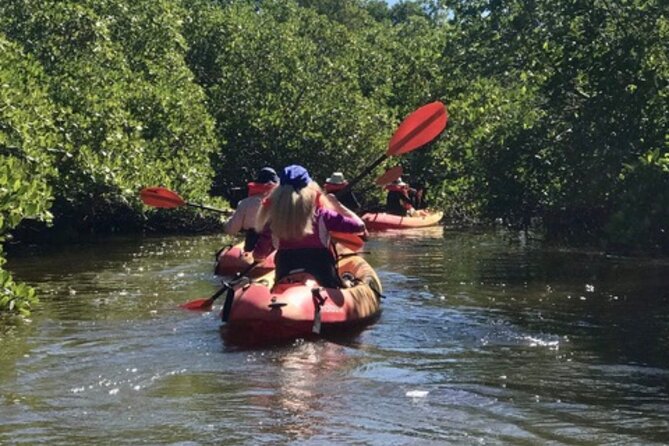 Nauti Exposures - Guided kayak tour through the Mangroves - Where You Meet in Naples (and Why Location Matters)