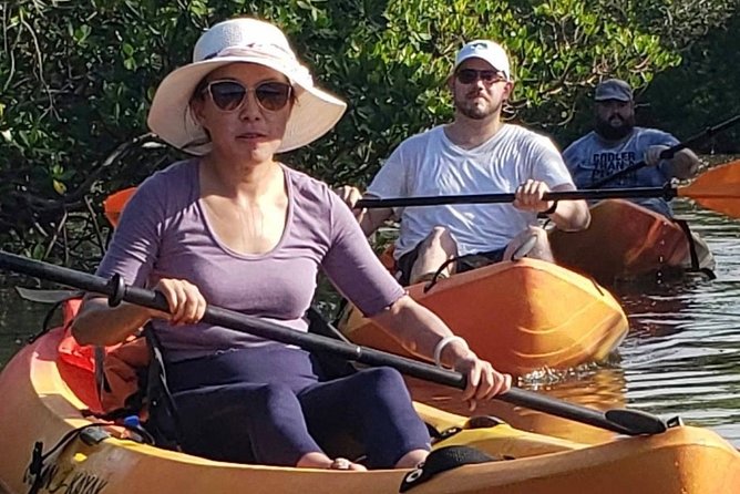 Nauti Exposures - Guided kayak tour through the Mangroves - Value Check: What You’re Paying For (Without Guessing a Price)