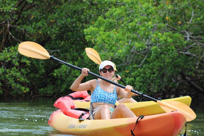 Nauti Exposures - Kayak rental Naples, FL - Paddling through mangroves: the peaceful “tunnel” feeling
