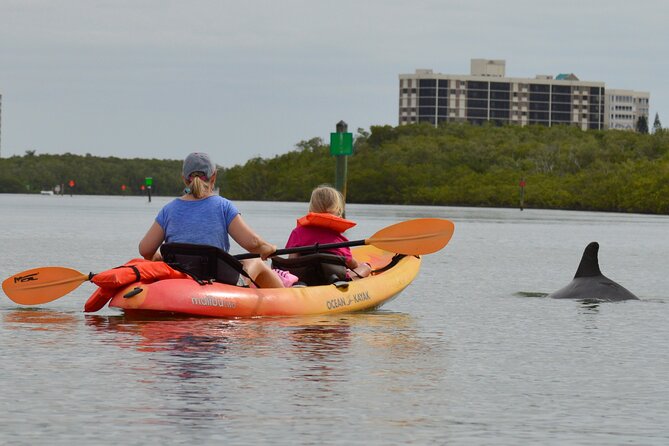 Nauti Exposures - Kayak rental Naples, FL - Wildlife spotting tips: what to watch for without getting frustrated