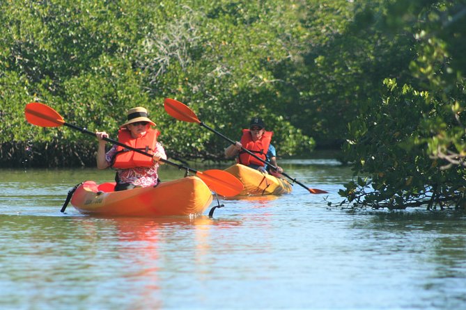 Nauti Exposures - Kayak rental Naples, FL - Duration and pace: about 2 hours that feel right for kayaking beginners
