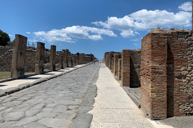 Once upon a time Pompeii 2 and a half hour tour - Cost and Value: $48.19 Plus Pompeii Admission