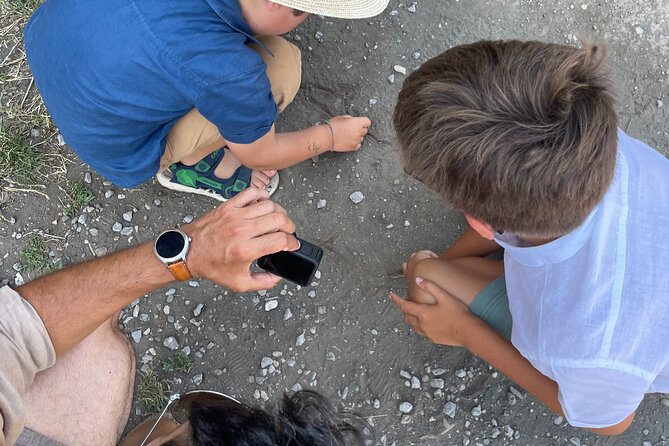 Pompei Adventure: A Tailored Tour for Families with Kids! - The meeting point and timing: set yourself up for a smooth start