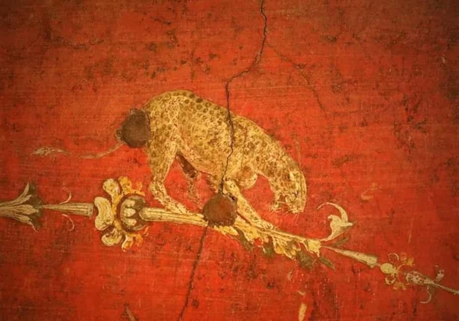 Pompei and Herculaneum: Skip the Line Entry + Audioguide - Opening hours and last entry: when your day can get cut short