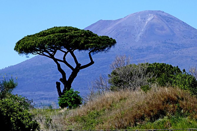 POMPEI Half Day TOUR - Departure from NAPLES Centre (TICKET INCLUDED) - Entering Pompeii with a guide who gives you a route