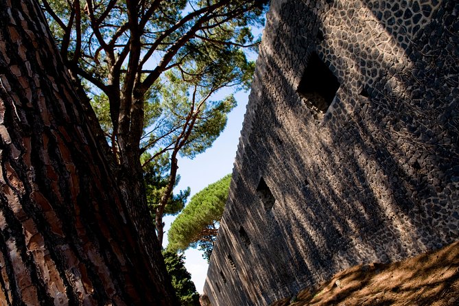 POMPEI Half Day TOUR - Departure from NAPLES Centre (TICKET INCLUDED) - Baths: wellness culture in a Roman town