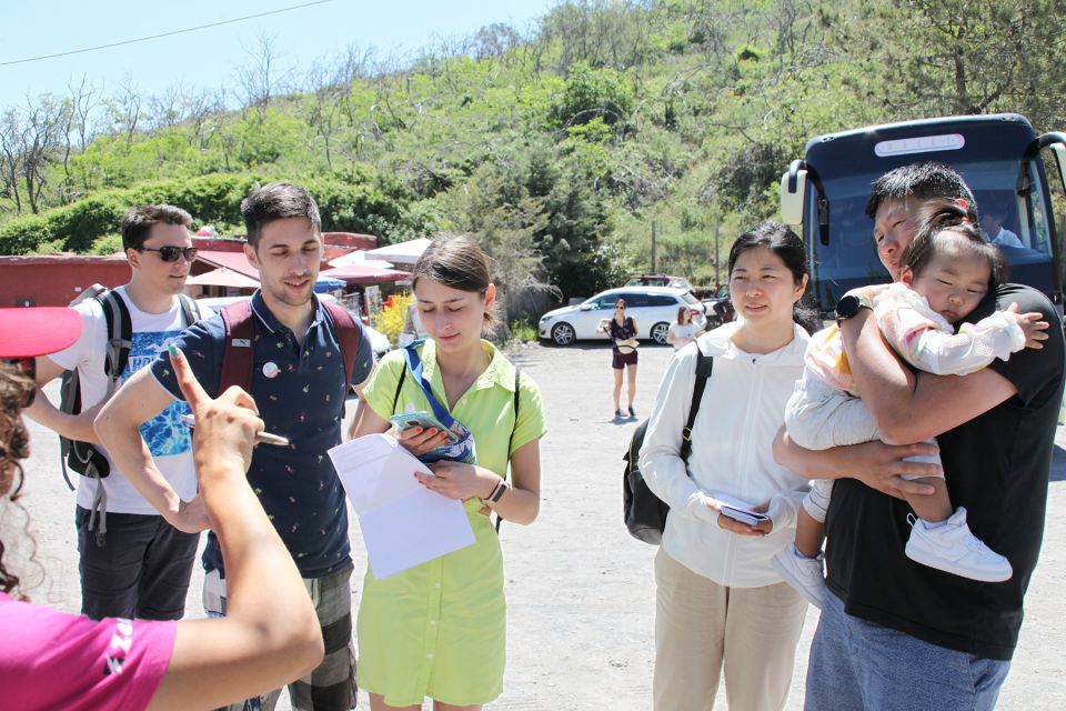 Pompei: Vesuvius and Herculaneum Tour - The schedule in plain terms: how the 6-hour plan feels in real life