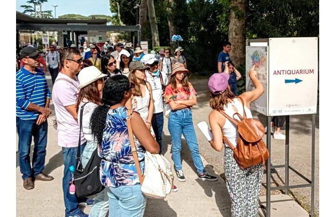 Pompeii 2 hours Private guided tour, A JOURNEY THROUGH THE TIME - Shops, baths, and temples: public life beyond the living rooms