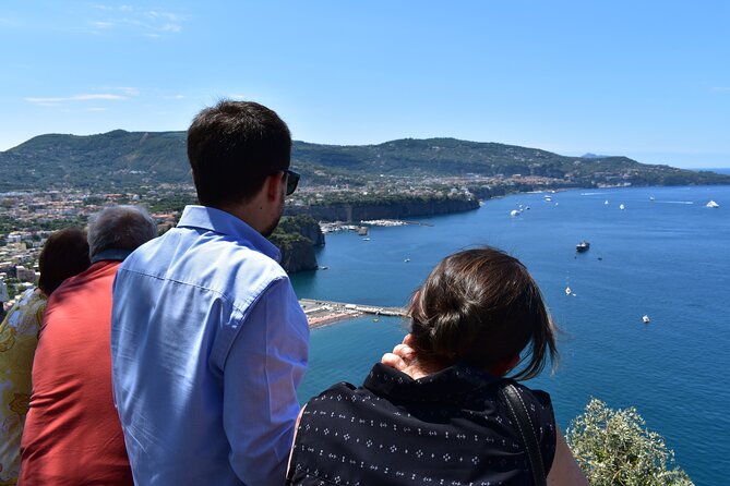 Pompeii & Amalfi Coast Tour from Naples or Sorrento - Pompeii’s best-known spots: gymnasium, theatres, Forum, and more