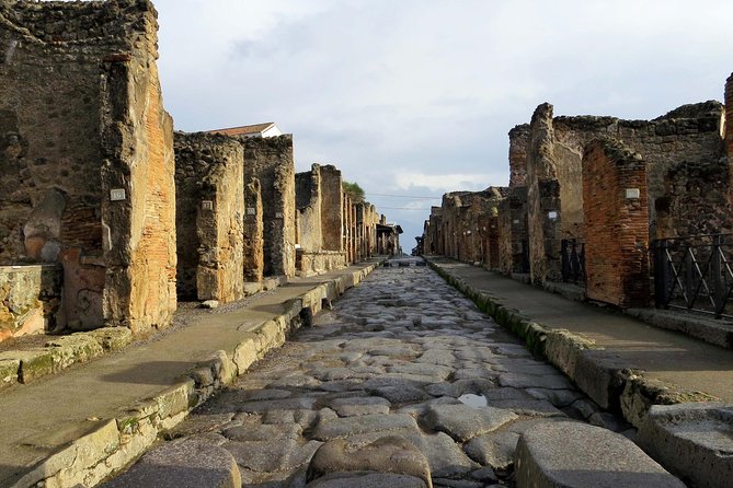 Pompeii- Amalfi Coast tour from Naples, with licensed guide included - Price and value: what $521.55 per person buys you