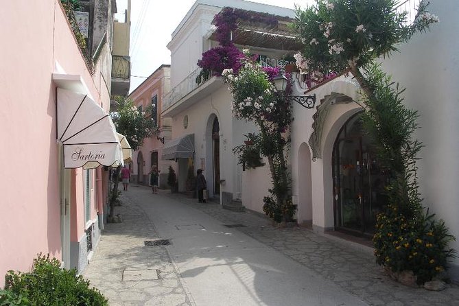 Pompeii and Amalfi Coast Port Tour (Driver Only/Self Touring) - Timing, comfort, and how to avoid a rushed-feeling day