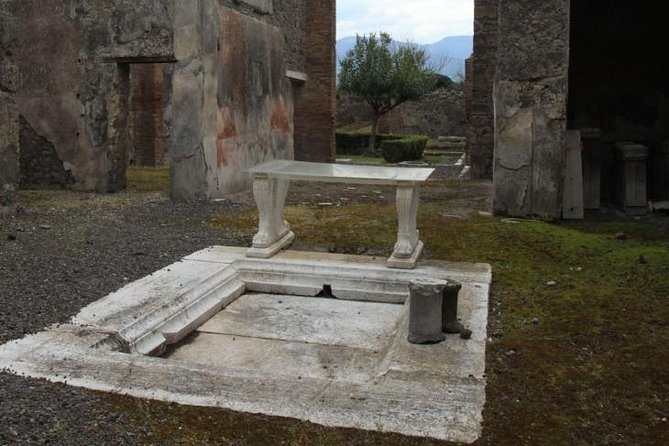 Pompeii and Amalfi Coast Port Tour (Driver Only/Self Touring) - The driver-only format: what you gain (and what you should plan for)
