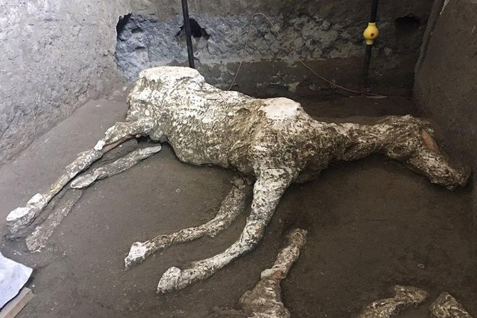 Pompeii and Herculaneum Day Tour - with Lunch from Naples - Lunch Break at Pompeii: A Real Reset, Not an Afterthought