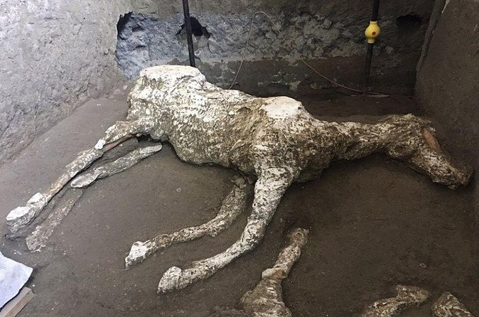 Pompeii and Herculaneum Day Tour - with Lunch from Naples - Who This Tour Is For (and Who Should Rethink It)