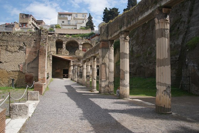 Pompeii and Herculaneum Day Tour - with Lunch from Naples - Price and Value: What $120.93 Gets You (and What Costs Extra)