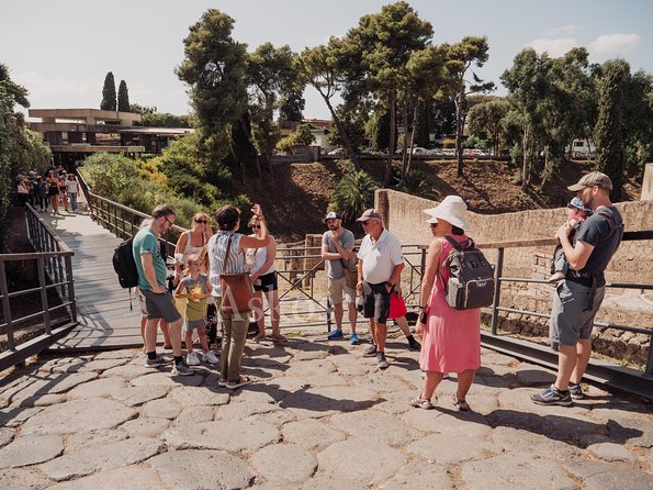 Pompeii and Herculaneum led by an Archaeologist with private transport - Who should book this tour