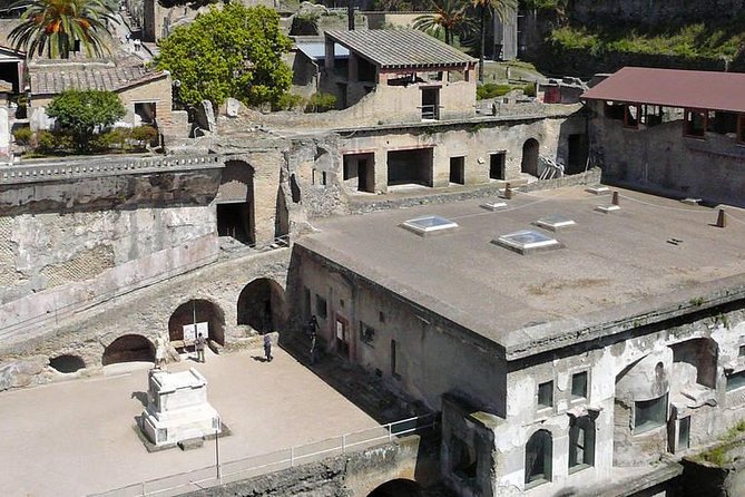 Pompeii and Herculaneum Private Tour - Price and tickets: the real value math (and the main gotcha)