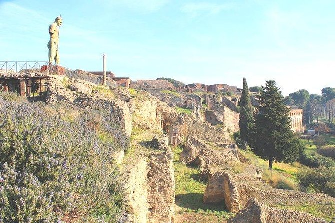 Pompeii and Herculaneum Private Tour with Native Guide and Skip the Line Tickets - Your Logistics Reality Check (So You Don’t Lose Time)