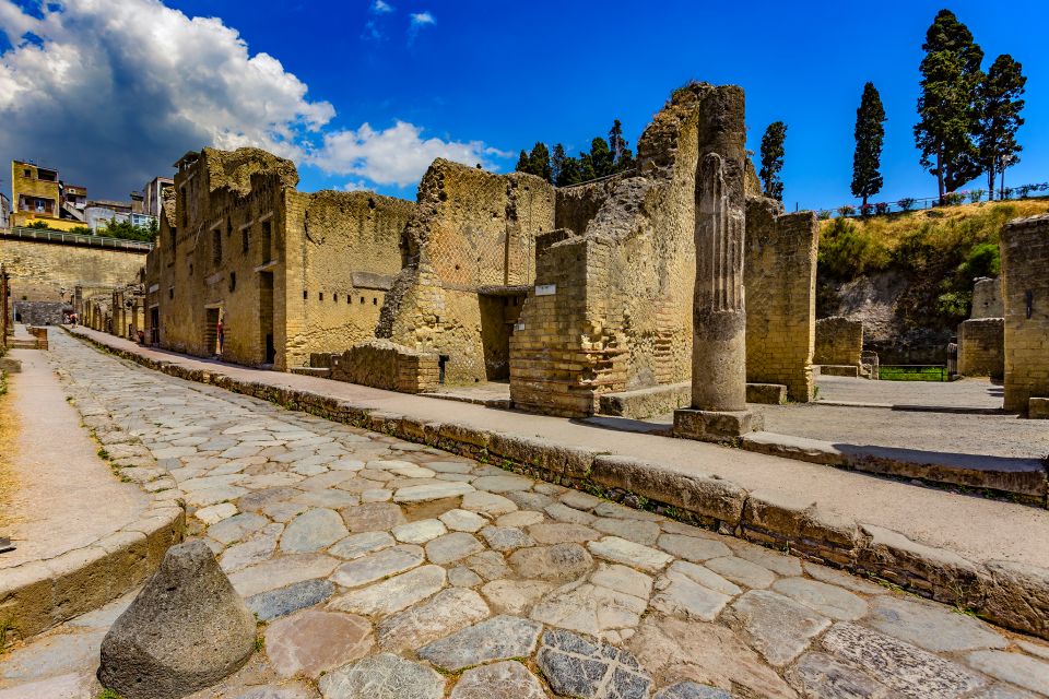 Pompeii and Herculaneum: Private Tour with Transportation - Skip-the-line tickets and the guide’s real value