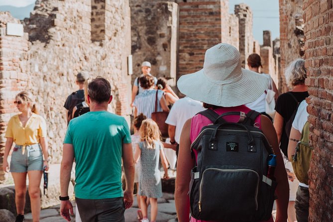 Pompeii and Herculaneum small group Excursion from Naples - Price and what you actually get for $173.27 per person