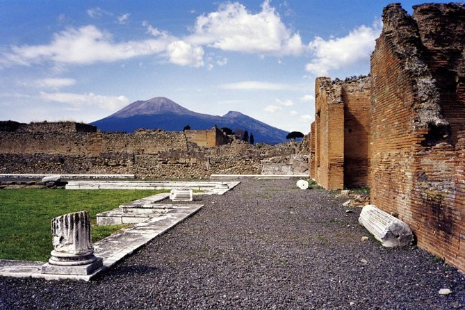 Pompeii and Mount Vesuvius Day Trip from Naples with Lunch - Pompeii tour: seeing the highlights without getting lost in the size