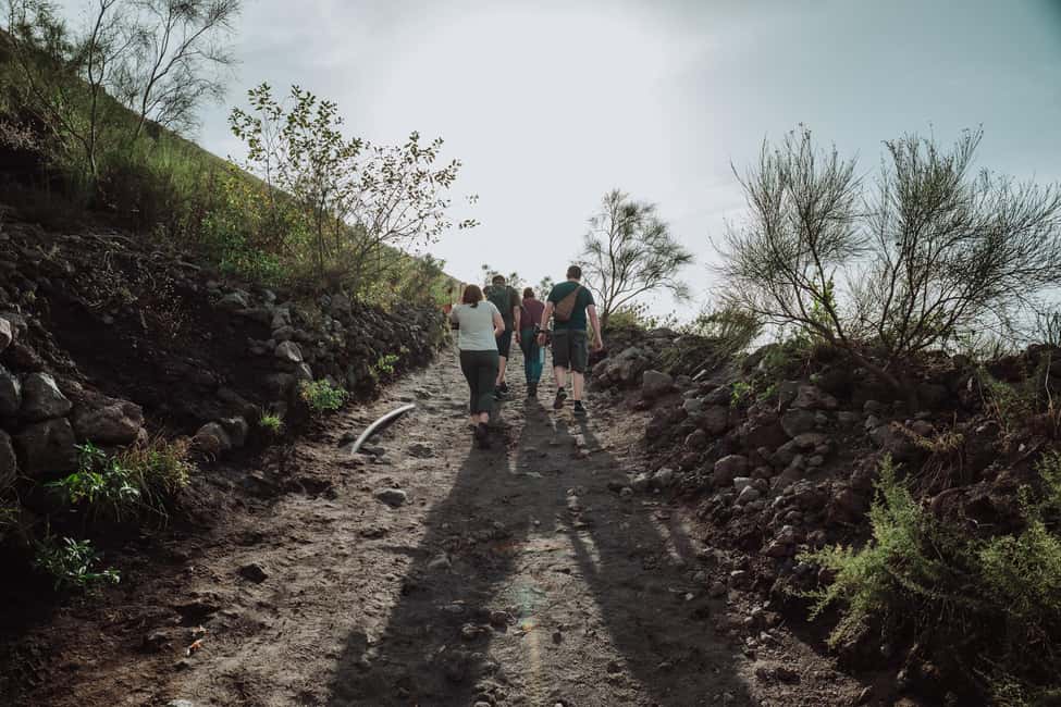 Pompeii and Mount Vesuvius excursion from Naples - Vesuvius crater hike: timing, audioguide use, and those Naples views