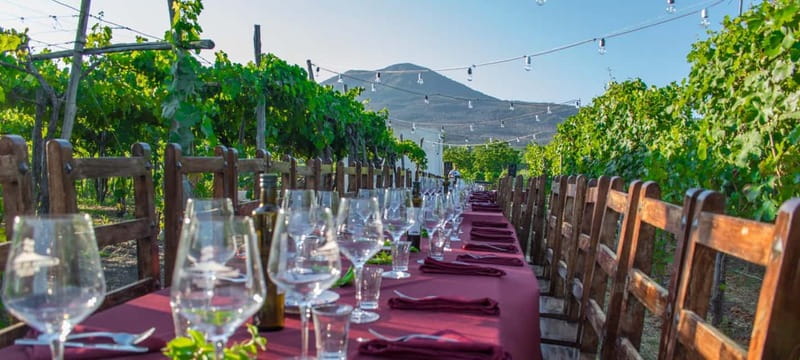Pompeii and Vesuvius Cellars: Tour with Pick-Up in Positano - Door-to-door from Positano: the real convenience factor