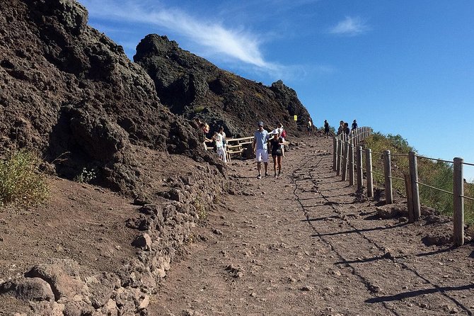 Pompeii and Vesuvius Day Trip from Naples with Skip The Line - Price and Value Check for This Pompeii–Vesuvius Day Trip