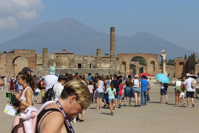 Pompeii and Vesuvius from Naples. Private activity - The Crater Hike: The Part You’ll Remember
