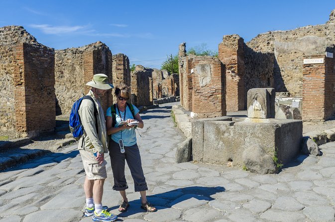 Pompeii and Vesuvius Full Day Private Shore Excursion - Who should book this private Pompeii and Vesuvius shore excursion?