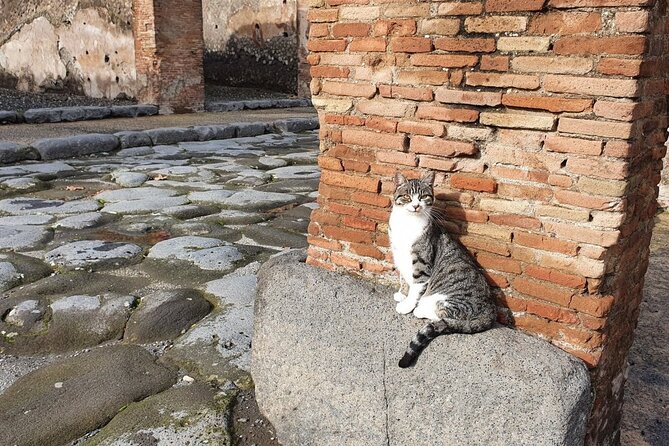 Pompeii and Vesuvius Tour with Pickup - Pompeii with a licensed guide: faster way to see the best parts