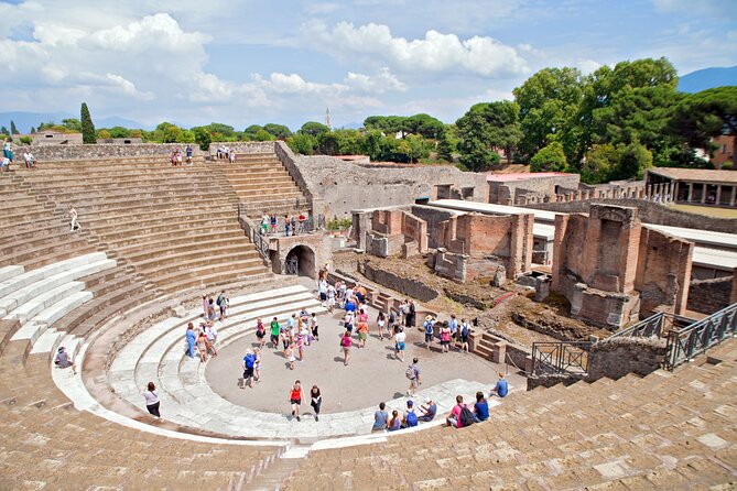 Pompeii and Vesuvius Wine Tasting Private Tour - How this day trip works from Naples without feeling rushed