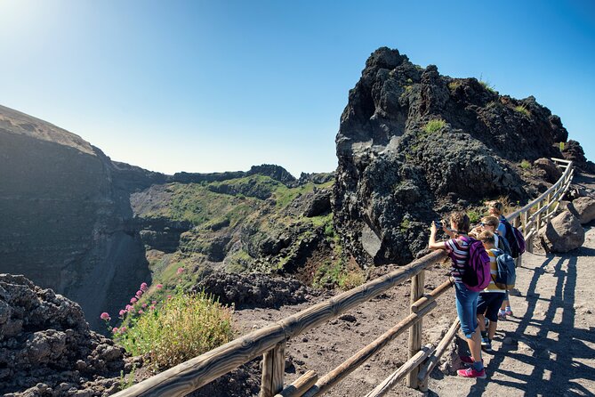 Pompeii and Vesuvius Wine Tasting Private Tour - Price and value: is $365.26 per person worth it?