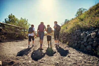 Pompeii and Vesuvius Wine Tasting Private Tour - Vesuvius crater: the view is worth it, but plan for the climb