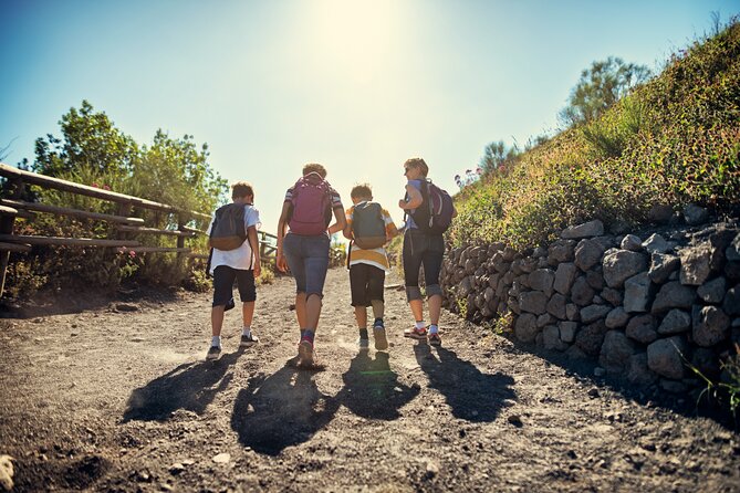 Pompeii and Vesuvius Wine Tasting Private Tour - Vesuvius crater: the view is worth it, but plan for the climb