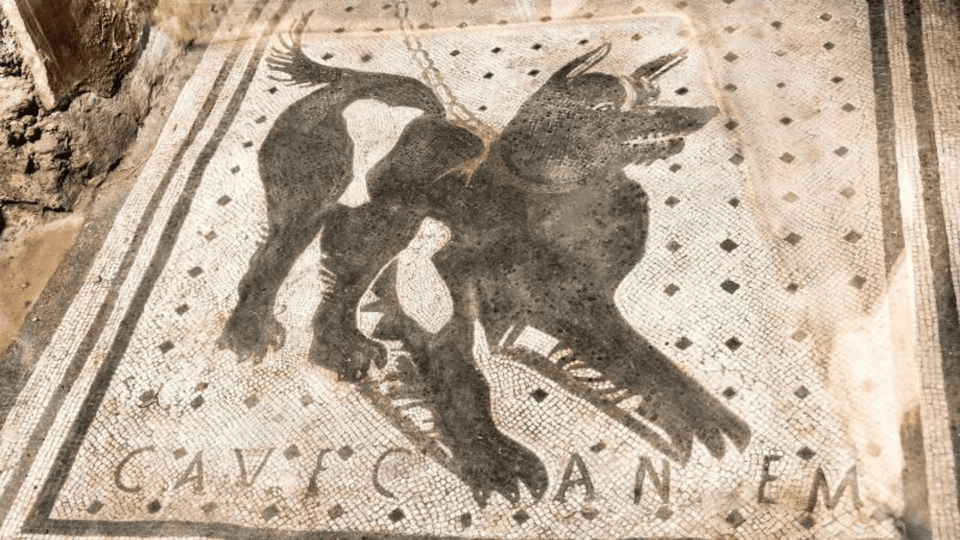 Pompeii Audioguide - TravelMate app for your smartphone - Houses of Marcus Rufus and the Golden Bracelet (Regio VII): power in domestic form