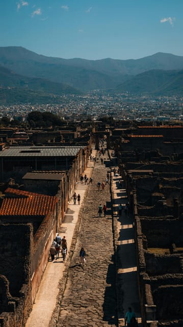 Pompeii: Entrance Ticket - Skip the Line - The ticketing detail that can make or break your timing