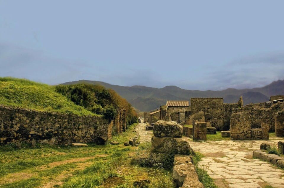 Pompeii: Entry Ticket & Guided Tour with an Expert Historian - What is not included: the suburban villas you will need to plan separately