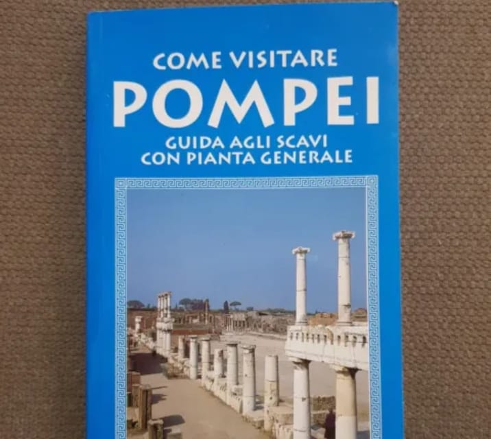 Pompeii: Entry Ticket with Book - Who this Pompeii experience suits (and who might want a guided tour)
