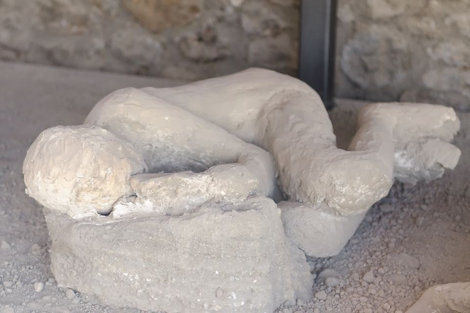Pompeii: Entry Ticket with Optional Audio Guide - Key highlights worth centering your day on