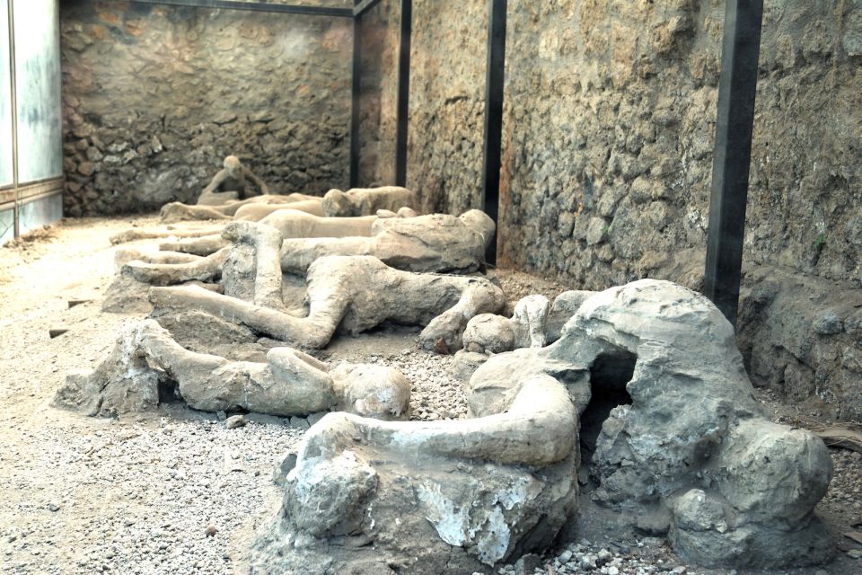 Pompeii: Entry Ticket with Optional Audio Guide - Audio guide realities: pickup, languages, and headphone rules
